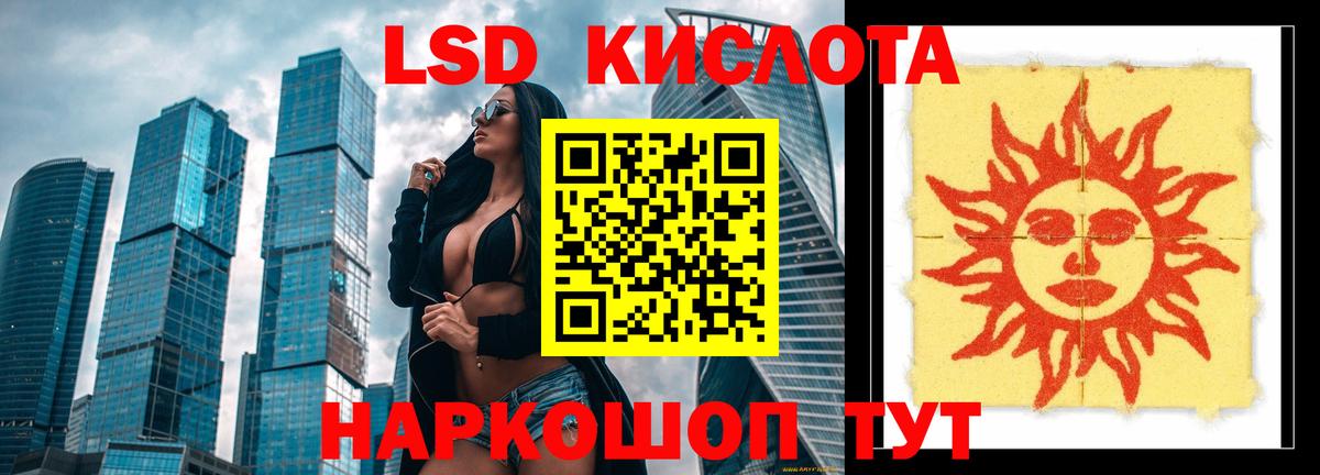 Псилоцибиновые грибы Муром