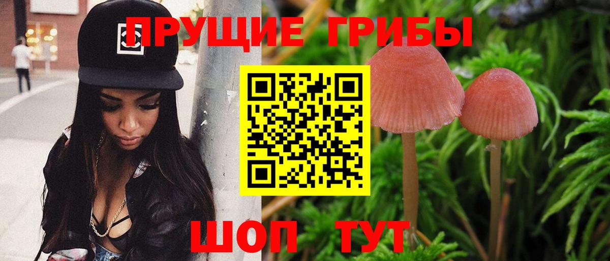 Псилоцибиновые грибы прущие грибы  Вход с VPN  Муром 